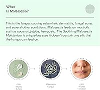 Dermazen Malassezia Moisturizer 2 fl oz — image 8