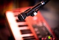 Beyerdynamic M88 TG Dynamic Microphone — image 6