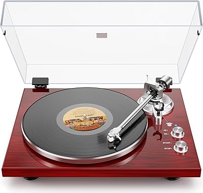 DIGITNOW High-Gloss Wood Design Turntable