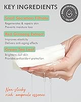 DERMAL Seoul Face Snail 3X Daily Quick Mask 36 Sheet — image 4