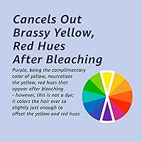 LA'DOR Anti-Yellow Purple Toning Shampoo 10.14oz — image 4