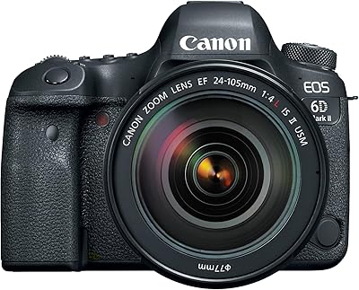 Canon EOS 6D Mark II with EF 24-105mm f/4L IS II USM