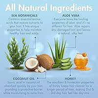 MopTop Moisturizing Curly Hair Shampoo and Conditioner Set — image 4