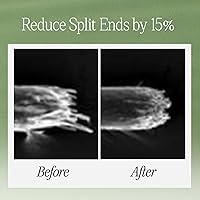 LONGTAKE Sandalwood Intensive Hair Perfume Treatment 6.76oz — image 4