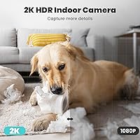 litokam LF-P1t 2K Indoor Security Camera — image 3