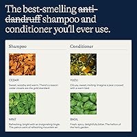 Flakes Anti Dandruff Shampoo and Conditioner Set 9oz — image 4