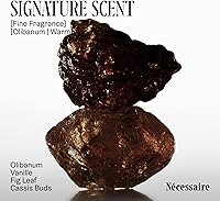 Nécessaire The Body Lotion Olibanum Scented 15.2oz — image 5