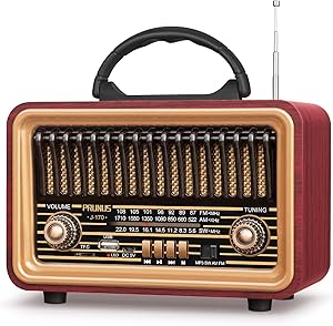 PRUNUS Retro Bluetooth Radio Speaker Review