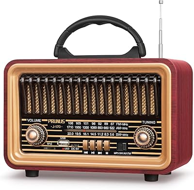 PRUNUS Retro Bluetooth Radio Speaker