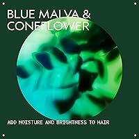 Aveda Blue Malva Color Conditioner 8.5oz — image 3