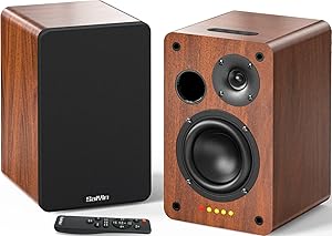 Saiyin DS6701 Bluetooth Bookshelf Speakers Review