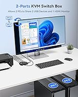 Viagkiki KVM Switch 1 Monitor 2 Computers — image 3