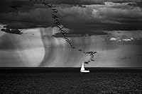 Sigma 150-600mm F5-6.3 Contemporary DG OS HSM Lens for Nikon — image 10