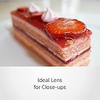 Sony SEL30M35 30mm f/3.5 E-Mount Macro Lens — image 2