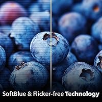 Philips 24B2N2100 24-inch FHD Monitor — image 3