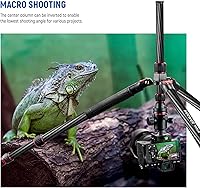NEEWER Upgraded 80.7″ Carbon Fiber Camera Tripod Monopod N55CR — image 5