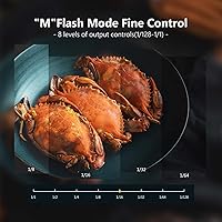 NEEWER 750II TTL Camera Flash Speedlite — image 6