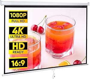 ZENY 80″ 16:9 Projector Screen Review