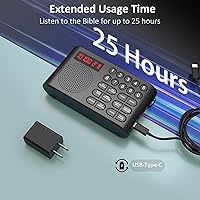 Lamborsafe Classic KJV Audio Bible Player — image 4