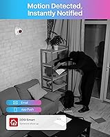 ZOSI 4K 8CH PoE NVR with 2TB HDD and 8×5MP Cameras — image 3