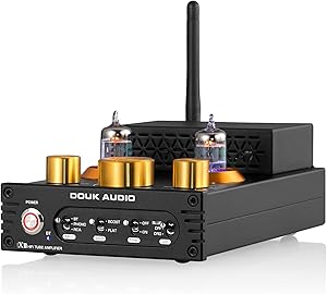 Douk Audio X1 HiFi Stereo Bluetooth 5.0 Vacuum Tube Amplifier Review