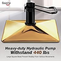 Baasha Black and Gold Salon Chair — image 7