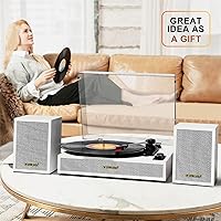 TANLANIN TE-2028WT Turntable — image 8