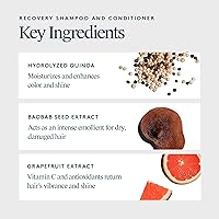 Virtue Recovery Sulfate Free Shampoo and Conditioner Set — image 3