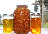 Berry Beautiful Red Raspberry Seed Oil 1 Gallon — image 4