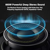 STUDIOFINIX RS8 Outdoor Rock Speakers — image 3