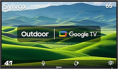 SYLVOX 65-inch Outdoor Smart TV