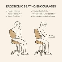 DR.LOMILOMI Pneumatic Swivel Rolling Saddle Chair with Wheels and Ergonomic Back Support — image 7