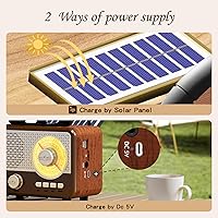 Caulikine ZS-02 Retro Bluetooth Radio — image 7