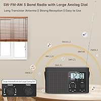 DreamSky AM FM Shortwave Radio — image 2