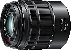 Panasonic LUMIX G VARIO 45-150mm F4.0-5.6 ASPH Lens