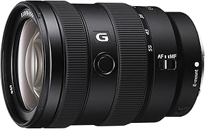 Sony SEL1655G Alpha 16-55mm F2.8 G Lens Review