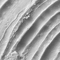 STMNT Grooming Goods Shine Paste 3.38oz — image 6