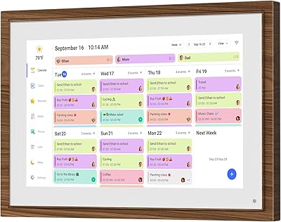 Canupdog 10.1 Inch Digital Calendar Chore Chart