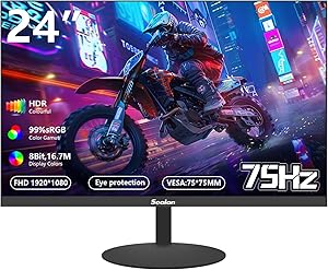 Sealan Z24B1A 24-inch FHD Monitor Review