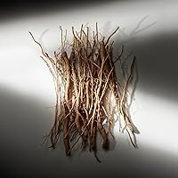 RALPH LAUREN FRAGRANCES Ralph's Club Eau de Parfum 3.4oz — image 8