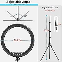 Hagibis 21-inch Ring Light with Stand — image 6