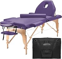 Saloniture Professional Portable Massage Table with Backrest - Lavender — image 1