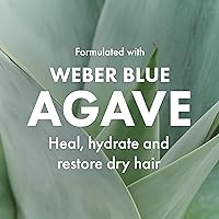 Agave Smoothing Conditioner 9.17oz — image 7