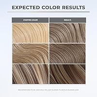 XMONDO Color Ash Blonde Color Depositing Mask 8 Fl Oz — image 3