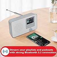 LEMEGA IR1 Portable WiFi Internet Radio — image 2