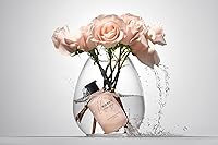Michael Malul Rose + Honey Eau de Parfum for Women - 100mL — image 6
