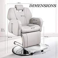 Baasha Barber Chair, Gray — image 3