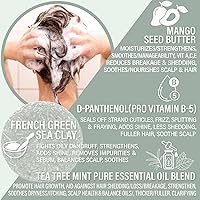 Luxiny Tea Tree Mint Shampoo and Conditioner Bar Set — image 3