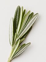 AG Care Stucco Matte Clay Paste 2.5oz — image 5