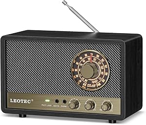 LEOTEC Retro AM FM Radio Bluetooth Speaker
